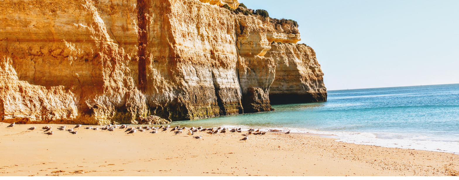 Algarve beach with seagulls and golden cliffs